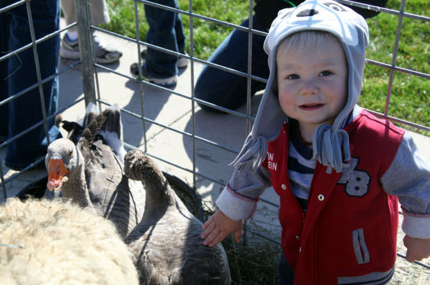 Pumpkins, Witches and Hayrides, Oh My!